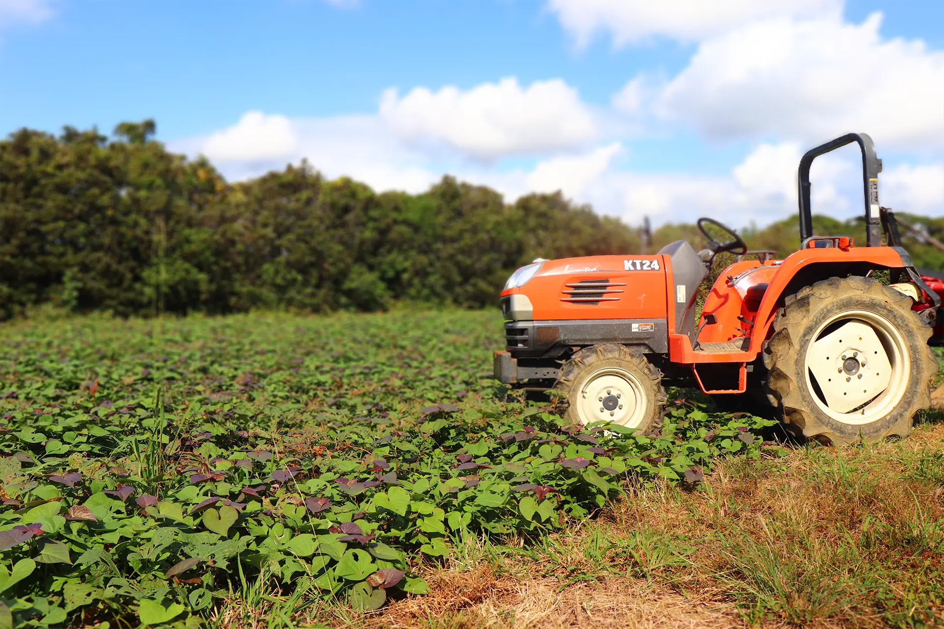 なかたね農産について